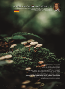 Issue 113 DE